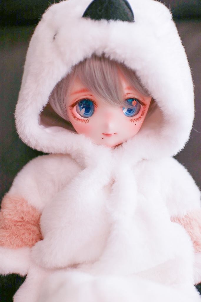 【カスタムヘッド】DDH-22 SW