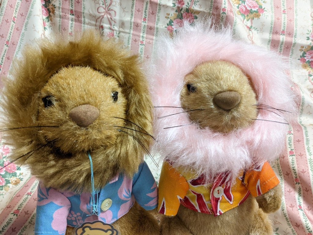 ちゃむらいおん