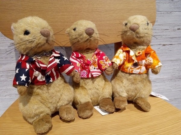 8種*C* ちゃむり アロハシャツ (ペンダント付)