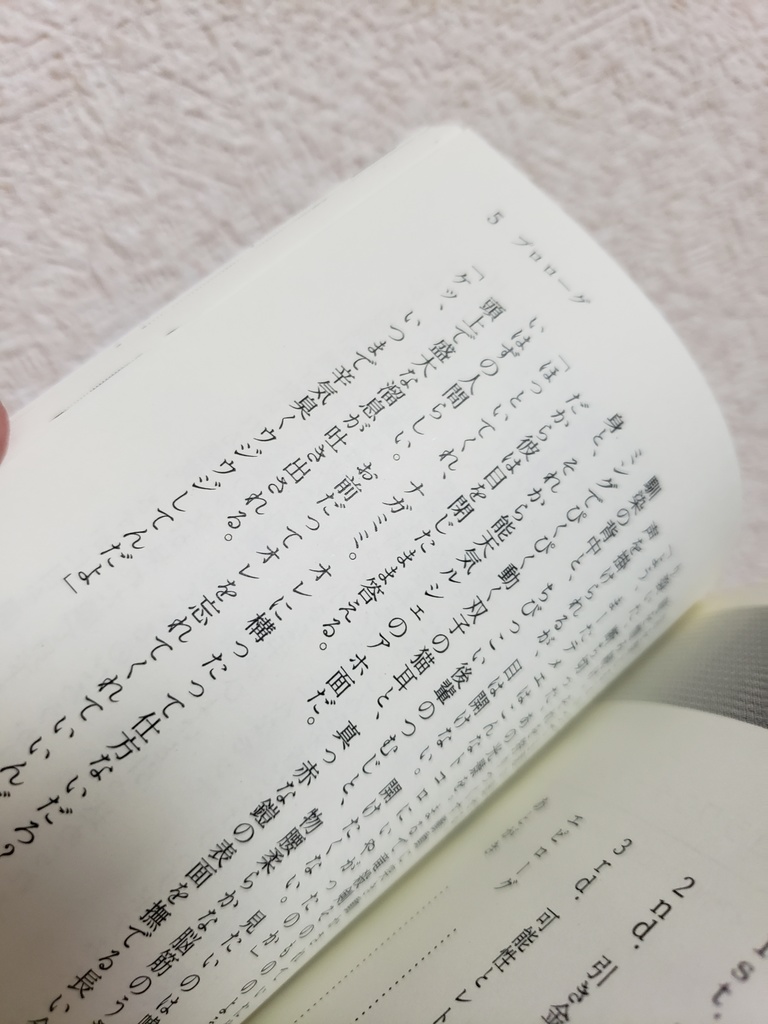 マボロシワンダーランド