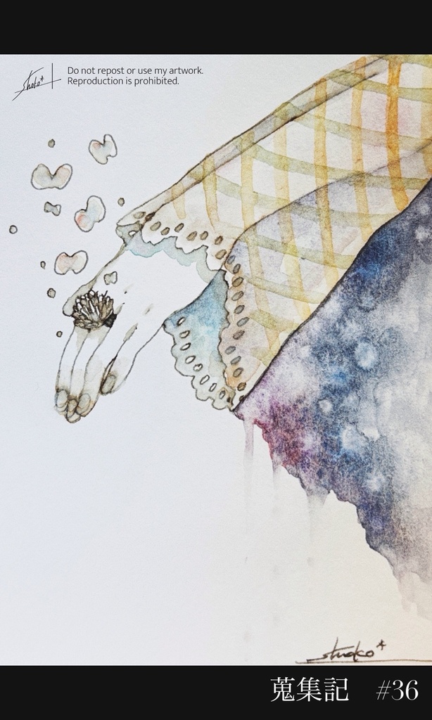 蒐集記-ドローイング-