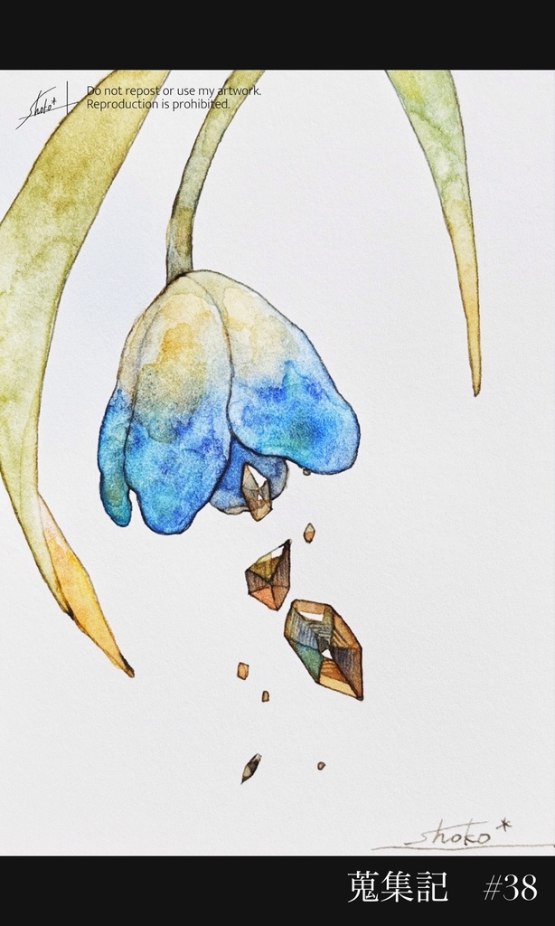 蒐集記-ドローイング-