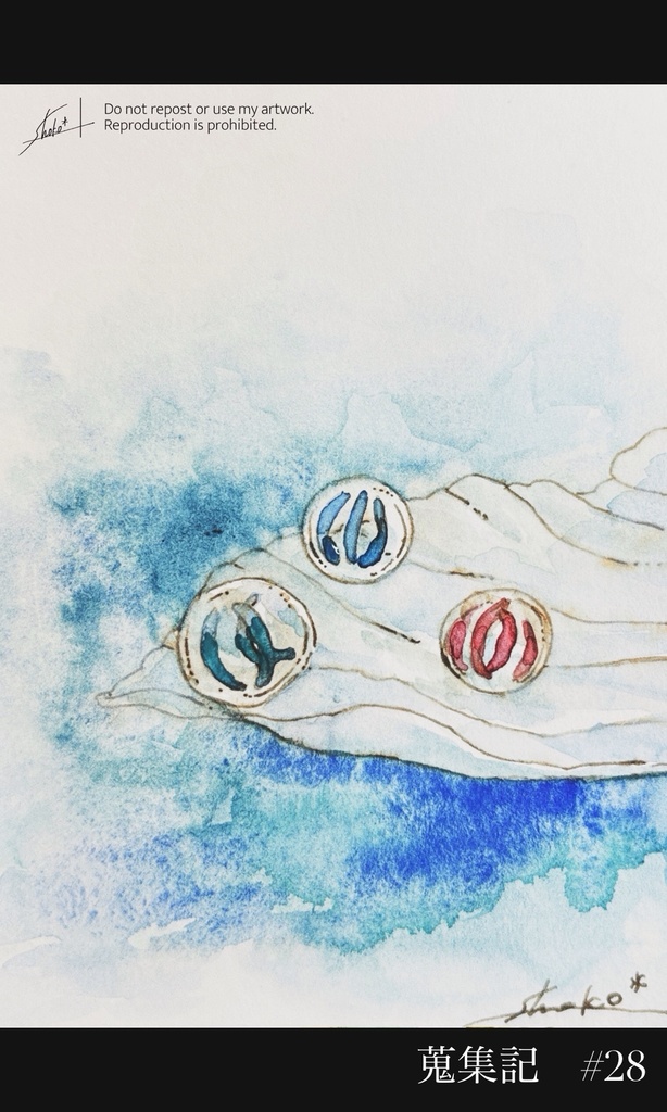 蒐集記-ドローイング-