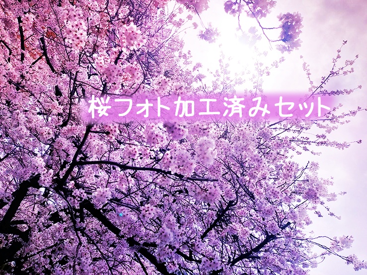 桜の加工フォト①
