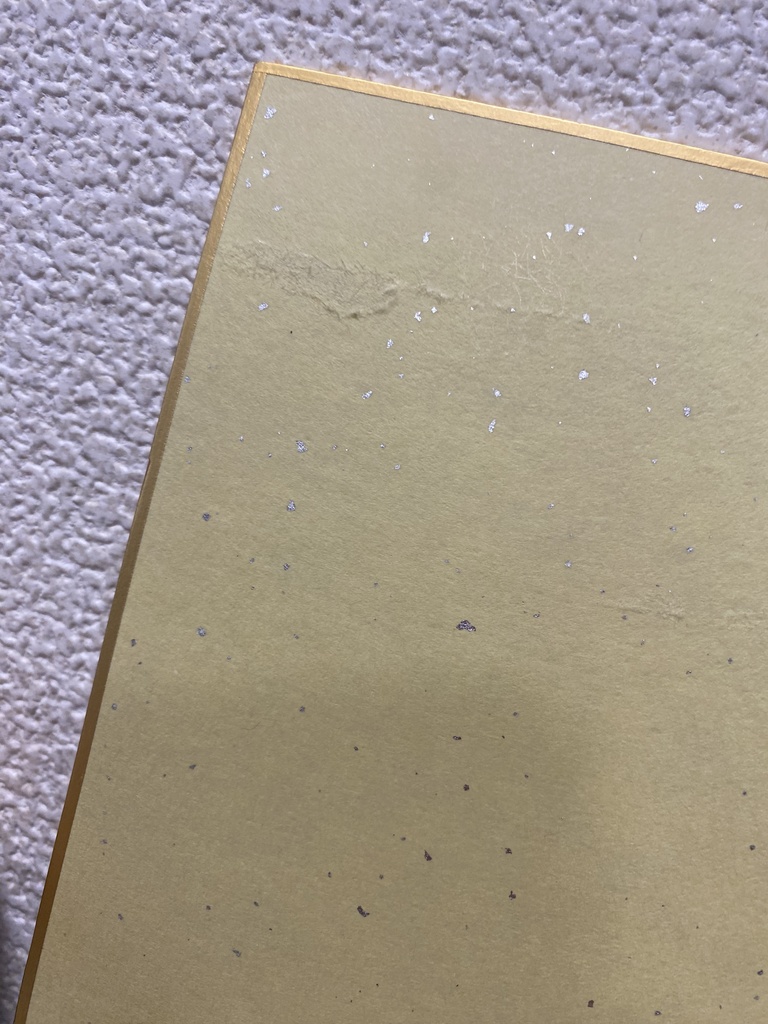 🎀アナログ色紙 「おしゃれ女の子ちゃん💫」🎀