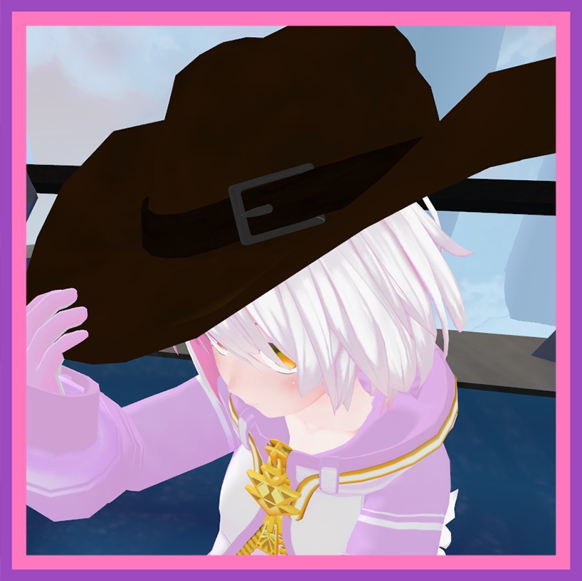 カウボーイハット / Cowboy Hat