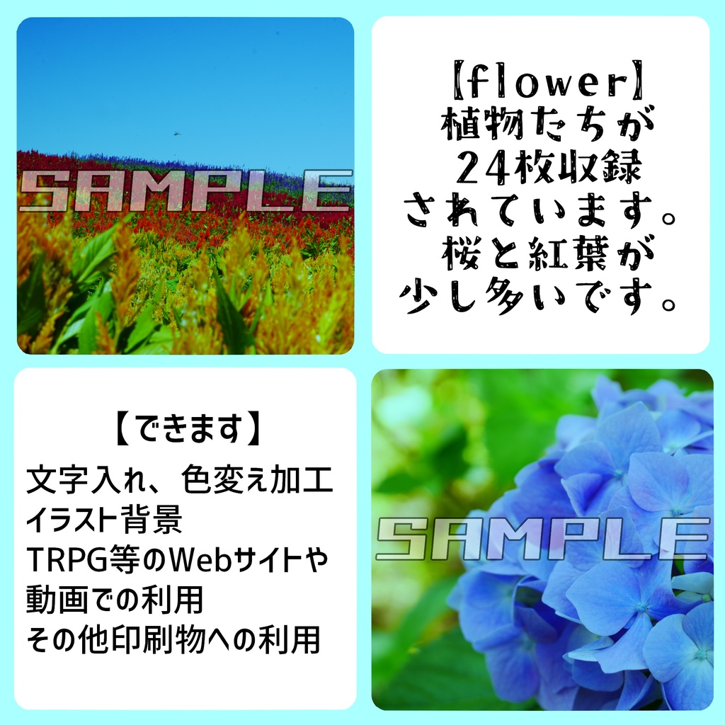 【FREE】きっと何かで役に立つ写真素材