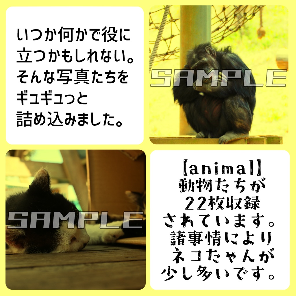 【FREE】きっと何かで役に立つ写真素材