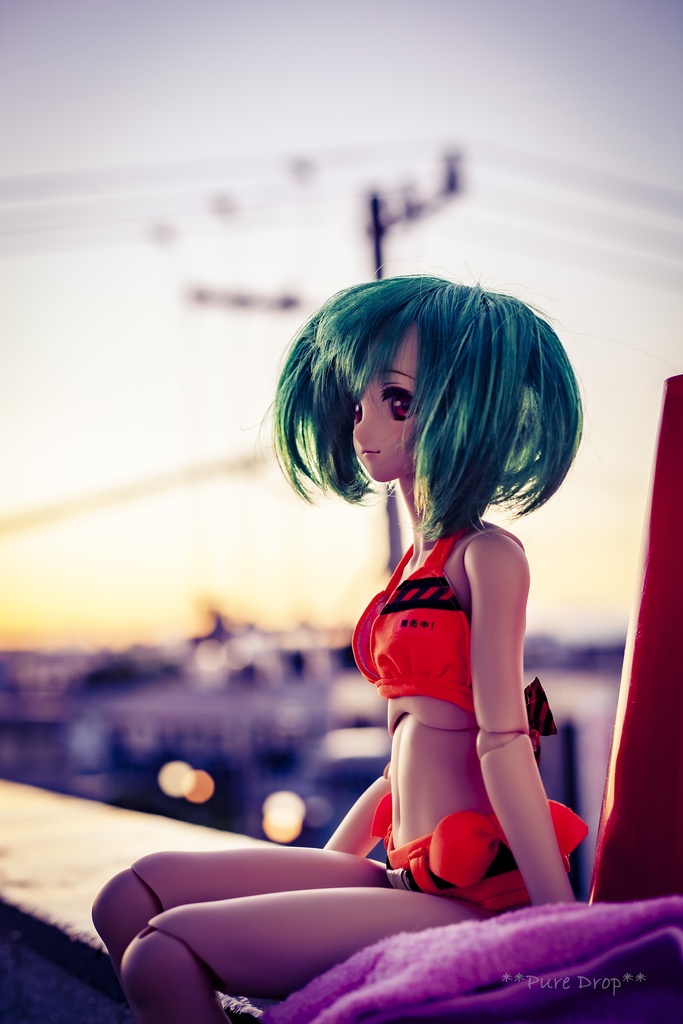 マクロスF シェリル&ランカ ドール写真集「Facisnated DIVAS」