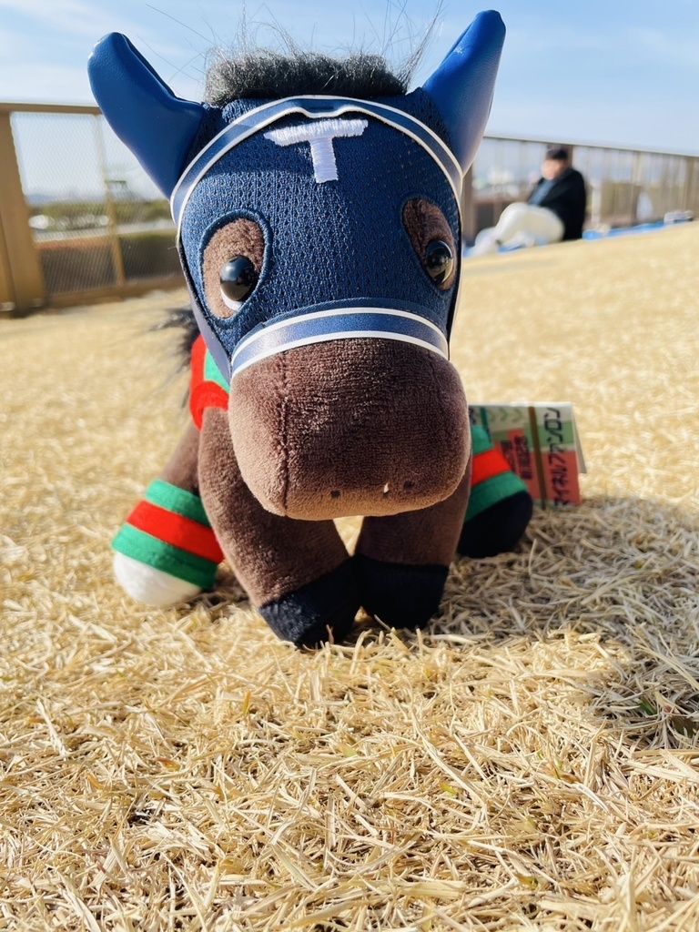 ⬛︎アイドルホース ◼️マイネルファンロン勝負服柄◼️(S)(マスコットサイズ) (M)レギュラーサイズ(L)ビッグサイズ ◼️勝負服着せ替え ( ぬい服 )