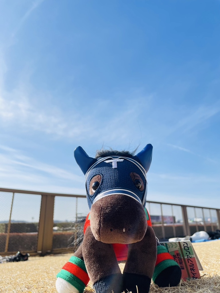 ⬛︎アイドルホース ◼️マイネルファンロン勝負服柄◼️(S)(マスコットサイズ) (M)レギュラーサイズ(L)ビッグサイズ ◼️勝負服着せ替え ( ぬい服 )