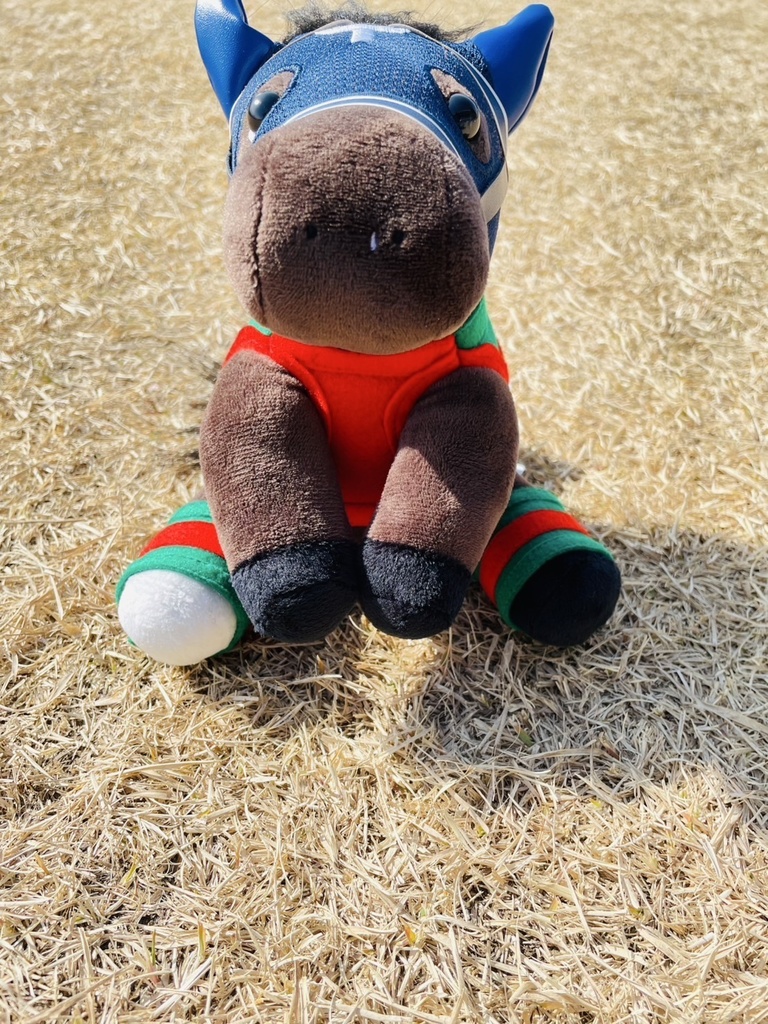 ⬛︎アイドルホース ◼️マイネルファンロン勝負服柄◼️(S)(マスコットサイズ) (M)レギュラーサイズ(L)ビッグサイズ ◼️勝負服着せ替え ( ぬい服 )