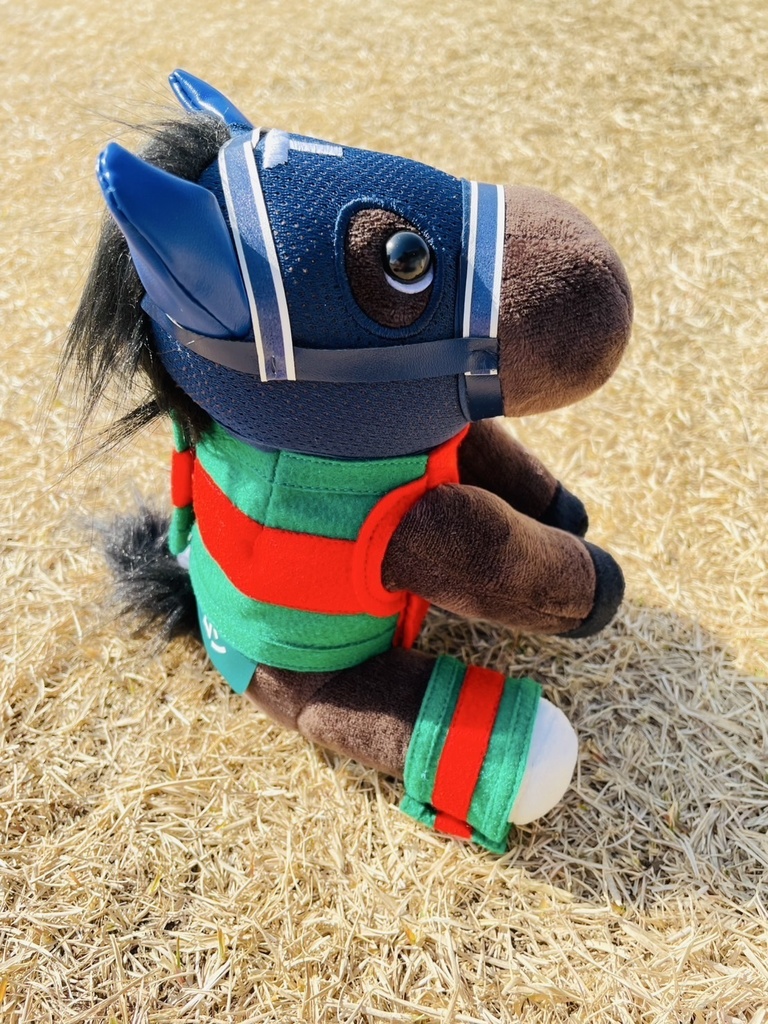 ⬛︎アイドルホース ◼️マイネルファンロン勝負服柄◼️(S)(マスコットサイズ) (M)レギュラーサイズ(L)ビッグサイズ ◼️勝負服着せ替え ( ぬい服 )