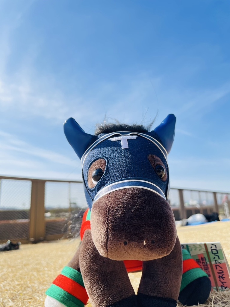 ⬛︎アイドルホース ◼️マイネルファンロン勝負服柄◼️(S)(マスコットサイズ) (M)レギュラーサイズ(L)ビッグサイズ ◼️勝負服着せ替え ( ぬい服 )