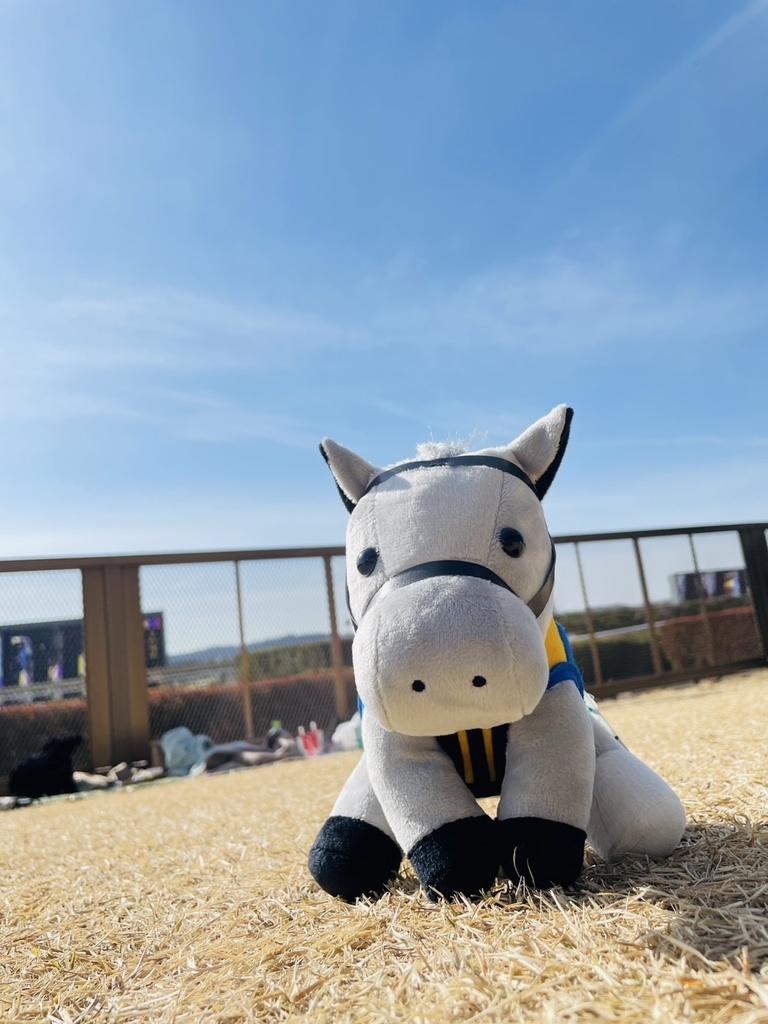 ⬛︎アイドルホース ◼️シルヴァーソニック勝負服柄◼️(S)(マスコットサイズ) (M)レギュラーサイズ(L)ビッグサイズ ◼️勝負服着せ替え ( ぬい服 )