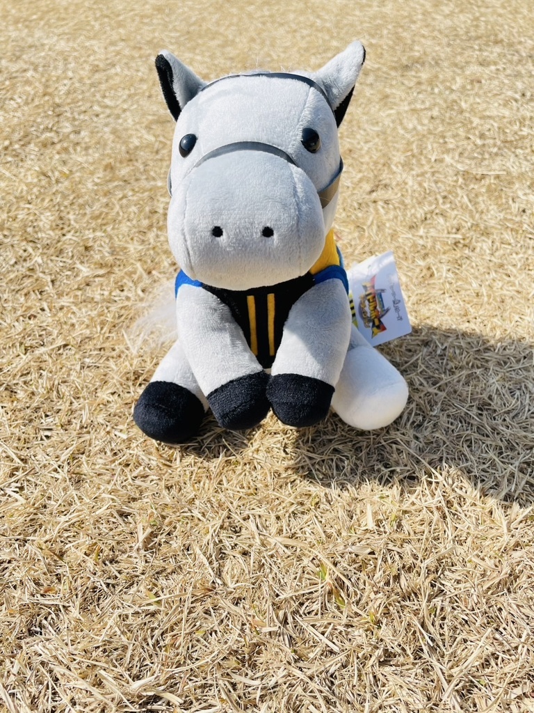 ⬛︎アイドルホース ◼️シルヴァーソニック勝負服柄◼️(S)(マスコットサイズ) (M)レギュラーサイズ(L)ビッグサイズ ◼️勝負服着せ替え ( ぬい服 )