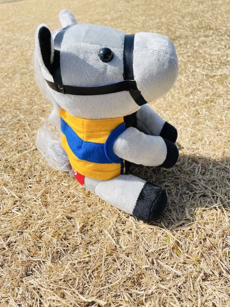 ⬛︎アイドルホース ◼️シルヴァーソニック勝負服柄◼️(S)(マスコットサイズ) (M)レギュラーサイズ(L)ビッグサイズ ◼️勝負服着せ替え ( ぬい服 )