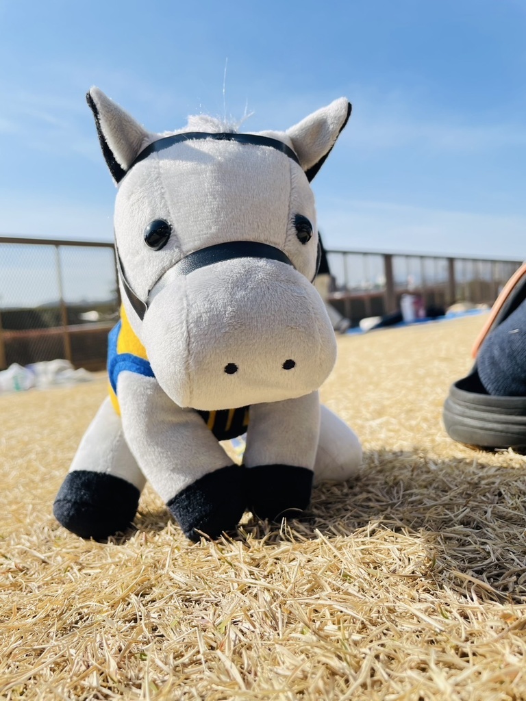 ⬛︎アイドルホース ◼️シルヴァーソニック勝負服柄◼️(S)(マスコットサイズ) (M)レギュラーサイズ(L)ビッグサイズ ◼️勝負服着せ替え ( ぬい服 )