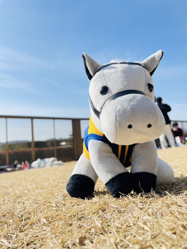 ⬛︎アイドルホース ◼️シルヴァーソニック勝負服柄◼️(S)(マスコットサイズ) (M)レギュラーサイズ(L)ビッグサイズ ◼️勝負服着せ替え ( ぬい服 )