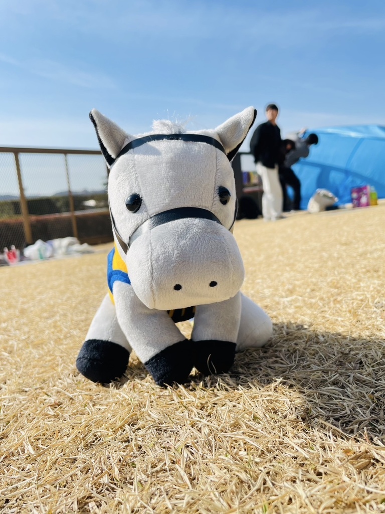 ⬛︎アイドルホース ◼️シルヴァーソニック勝負服柄◼️(S)(マスコットサイズ) (M)レギュラーサイズ(L)ビッグサイズ ◼️勝負服着せ替え ( ぬい服 )