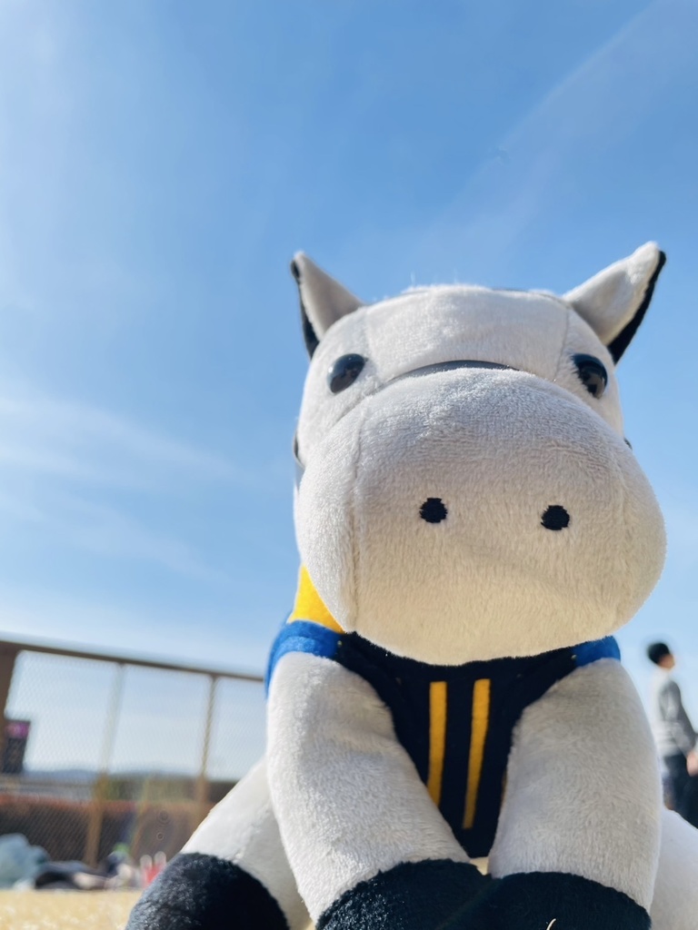 ⬛︎アイドルホース ◼️シルヴァーソニック勝負服柄◼️(S)(マスコットサイズ) (M)レギュラーサイズ(L)ビッグサイズ ◼️勝負服着せ替え ( ぬい服 )