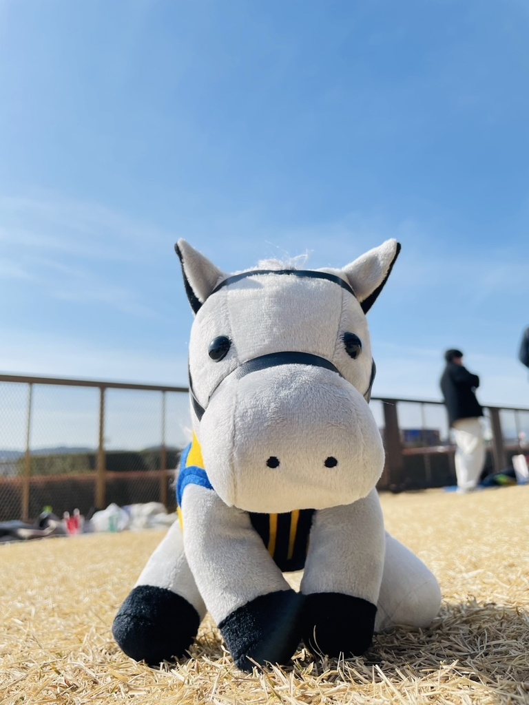 ⬛︎アイドルホース ◼️シルヴァーソニック勝負服柄◼️(S)(マスコットサイズ) (M)レギュラーサイズ(L)ビッグサイズ ◼️勝負服着せ替え ( ぬい服 )