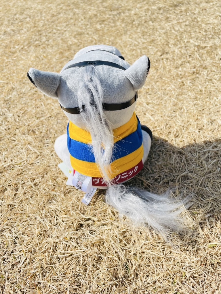 ⬛︎アイドルホース ◼️シルヴァーソニック勝負服柄◼️(S)(マスコットサイズ) (M)レギュラーサイズ(L)ビッグサイズ ◼️勝負服着せ替え ( ぬい服 )