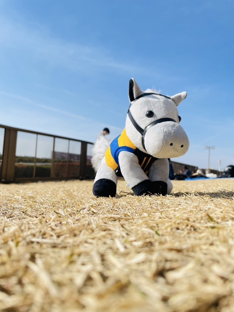 ⬛︎アイドルホース ◼️シルヴァーソニック勝負服柄◼️(S)(マスコットサイズ) (M)レギュラーサイズ(L)ビッグサイズ ◼️勝負服着せ替え ( ぬい服 )