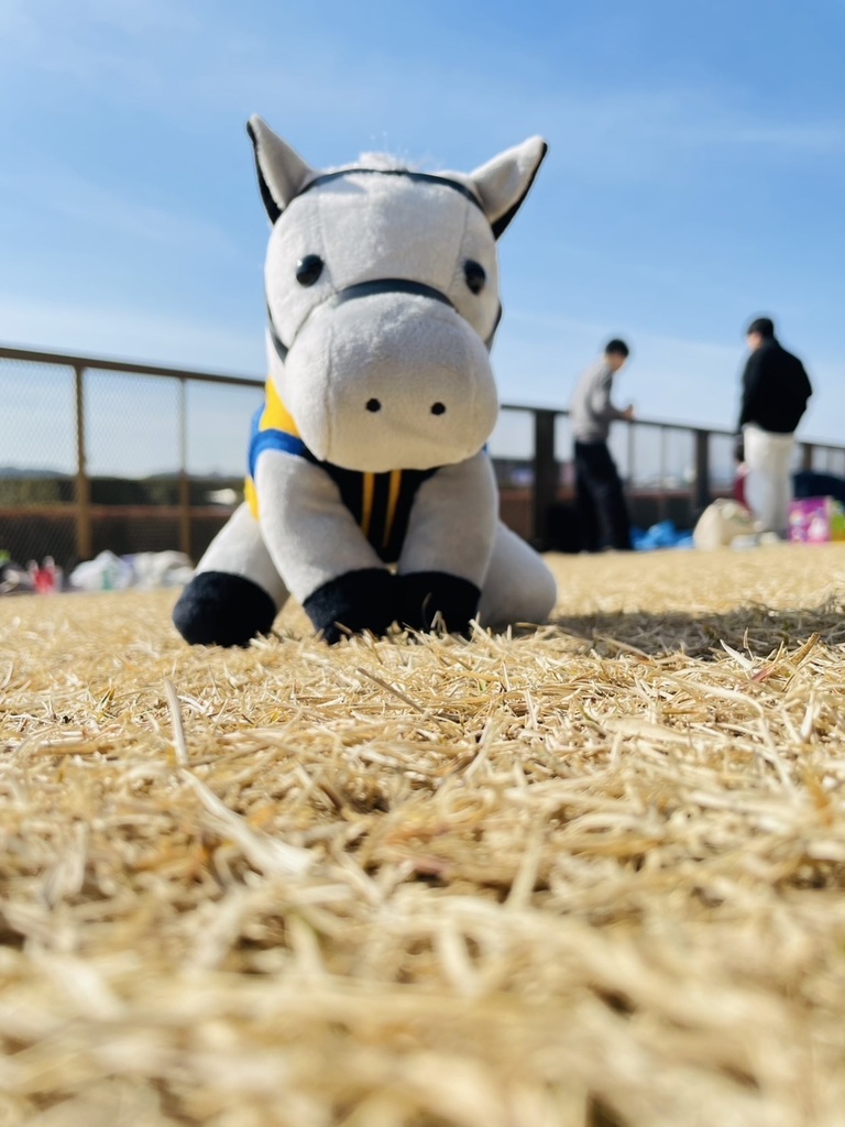 ⬛︎アイドルホース ◼️シルヴァーソニック勝負服柄◼️(S)(マスコットサイズ) (M)レギュラーサイズ(L)ビッグサイズ ◼️勝負服着せ替え ( ぬい服 )