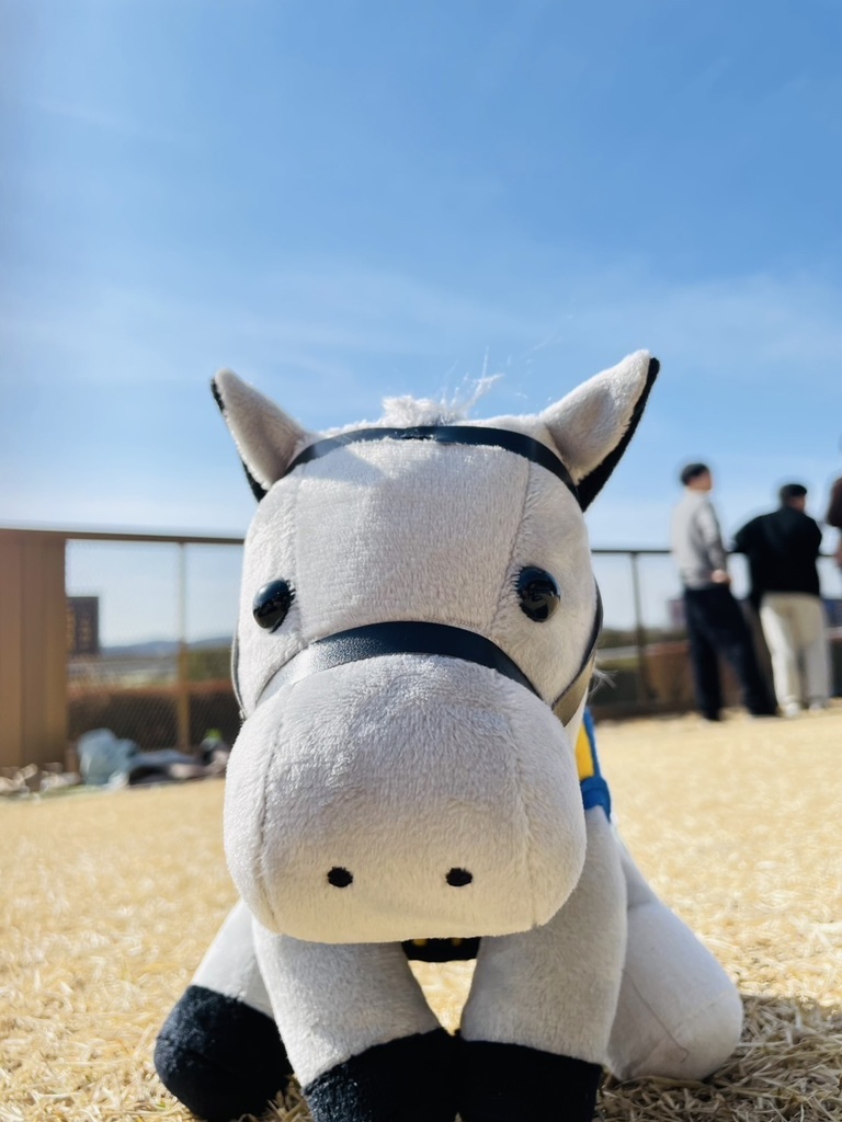 ⬛︎アイドルホース ◼️シルヴァーソニック勝負服柄◼️(S)(マスコットサイズ) (M)レギュラーサイズ(L)ビッグサイズ ◼️勝負服着せ替え ( ぬい服 )