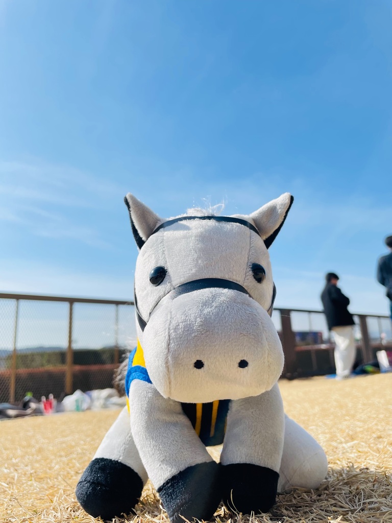 ⬛︎アイドルホース ◼️シルヴァーソニック勝負服柄◼️(S)(マスコットサイズ) (M)レギュラーサイズ(L)ビッグサイズ ◼️勝負服着せ替え ( ぬい服 )