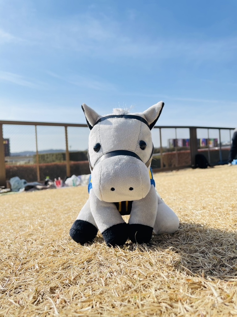 ⬛︎アイドルホース ◼️シルヴァーソニック勝負服柄◼️(S)(マスコットサイズ) (M)レギュラーサイズ(L)ビッグサイズ ◼️勝負服着せ替え ( ぬい服 )