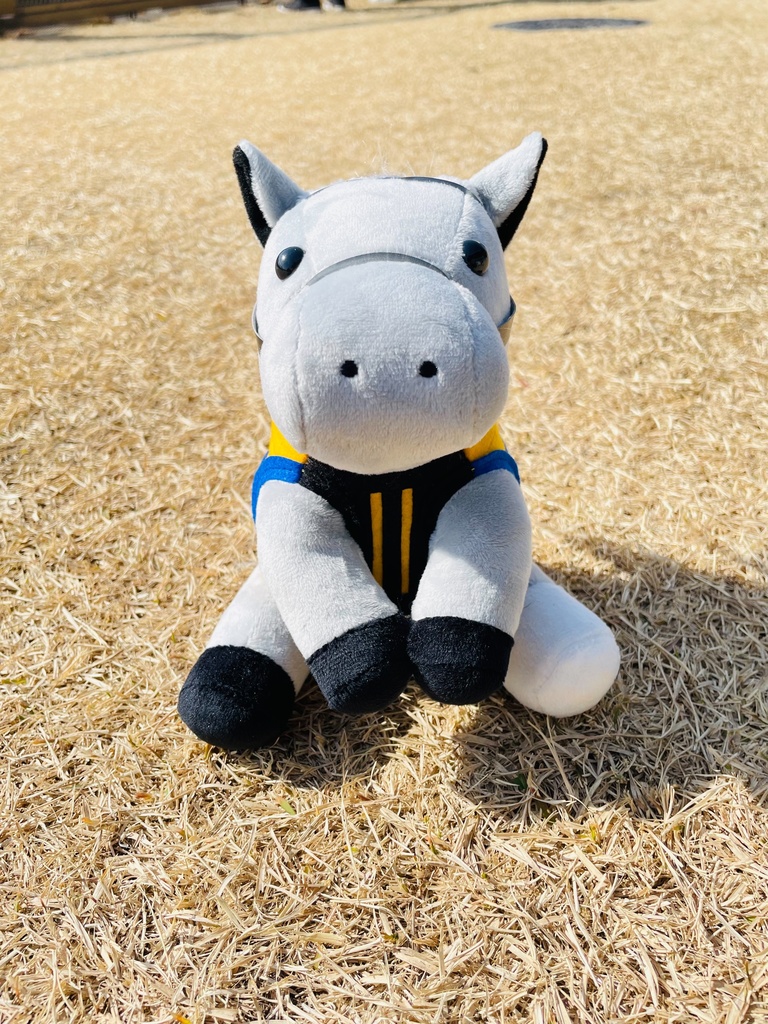 ⬛︎アイドルホース ◼️シルヴァーソニック勝負服柄◼️(S)(マスコットサイズ) (M)レギュラーサイズ(L)ビッグサイズ ◼️勝負服着せ替え ( ぬい服 )