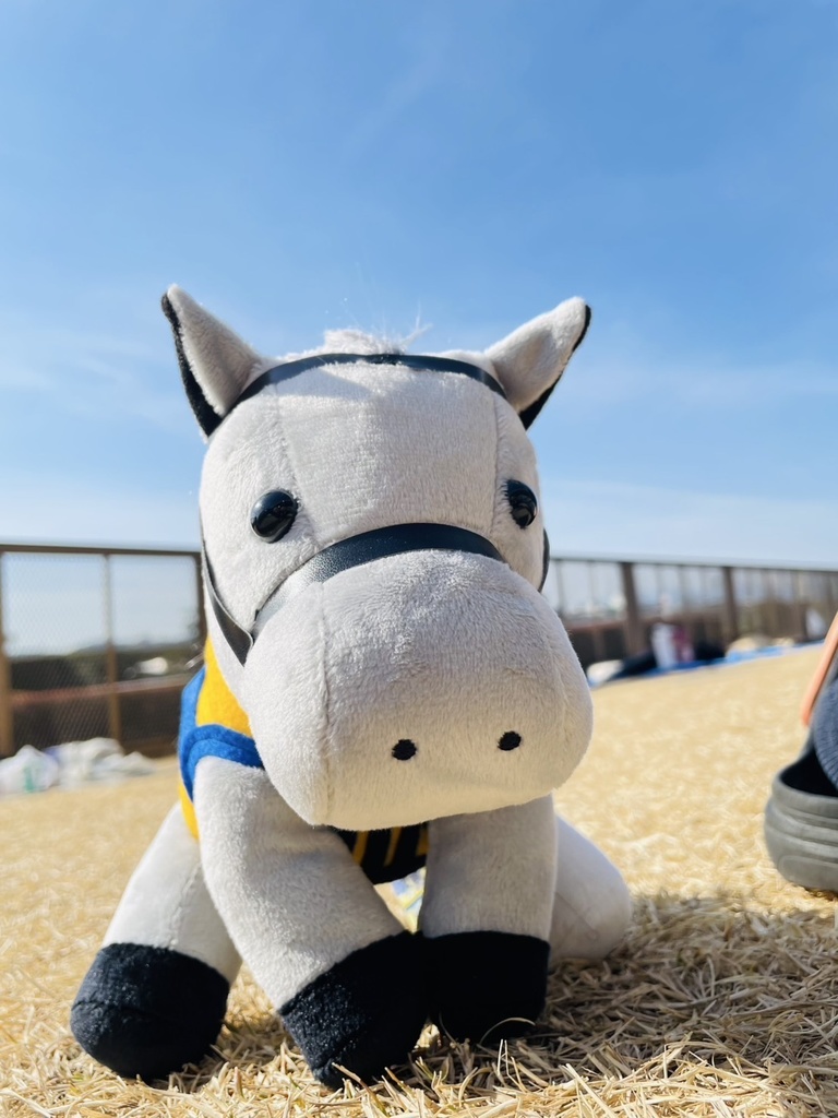 ⬛︎アイドルホース ◼️シルヴァーソニック勝負服柄◼️(S)(マスコットサイズ) (M)レギュラーサイズ(L)ビッグサイズ ◼️勝負服着せ替え ( ぬい服 )