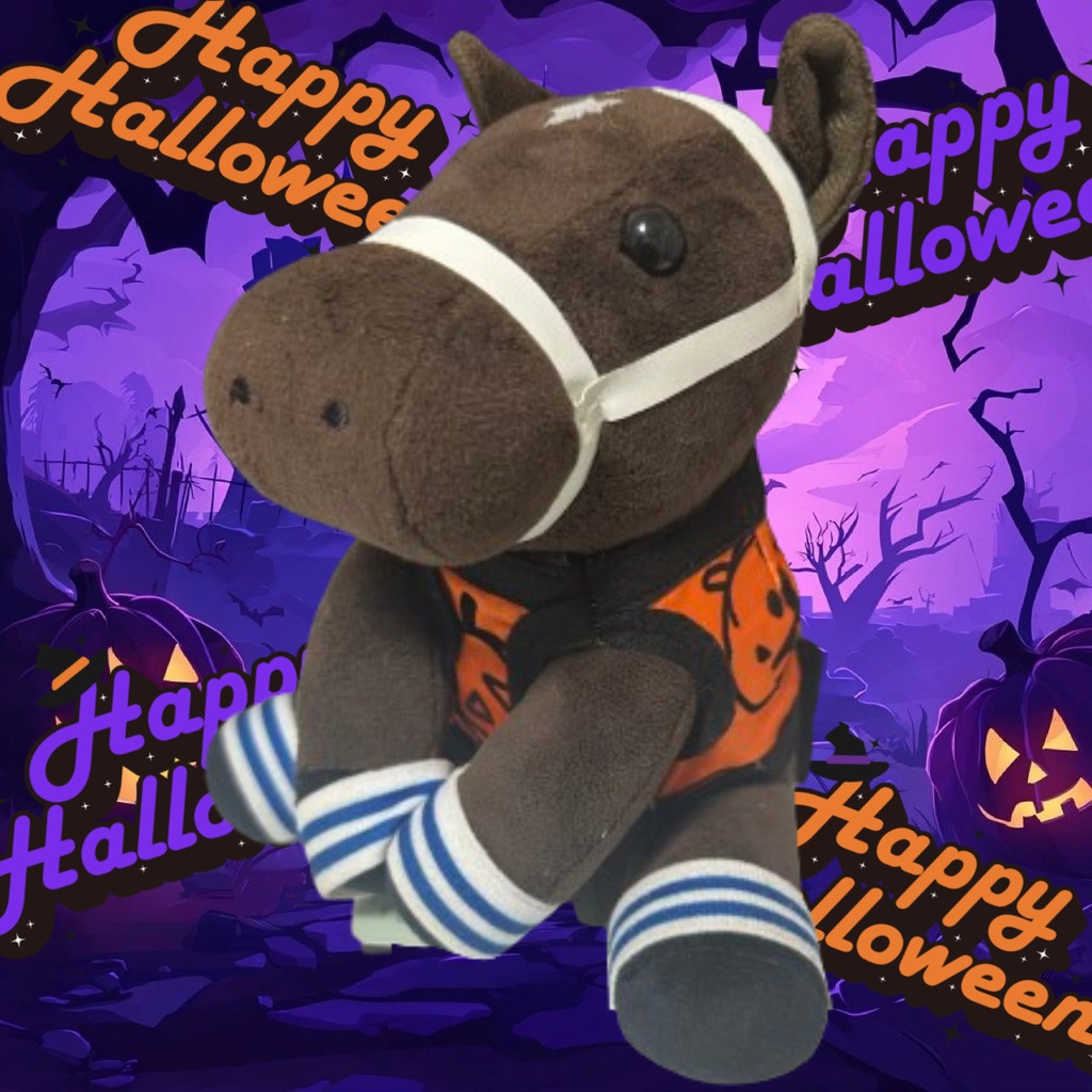 ⬛︎アイドルホース ◼️ハロウィン仮装⬛︎勝負服柄◼️(S)(マスコットサイズ) (M)レギュラーサイズ(L)ビッグサイズ ◼️勝負服着せ替え ( ぬい服 )