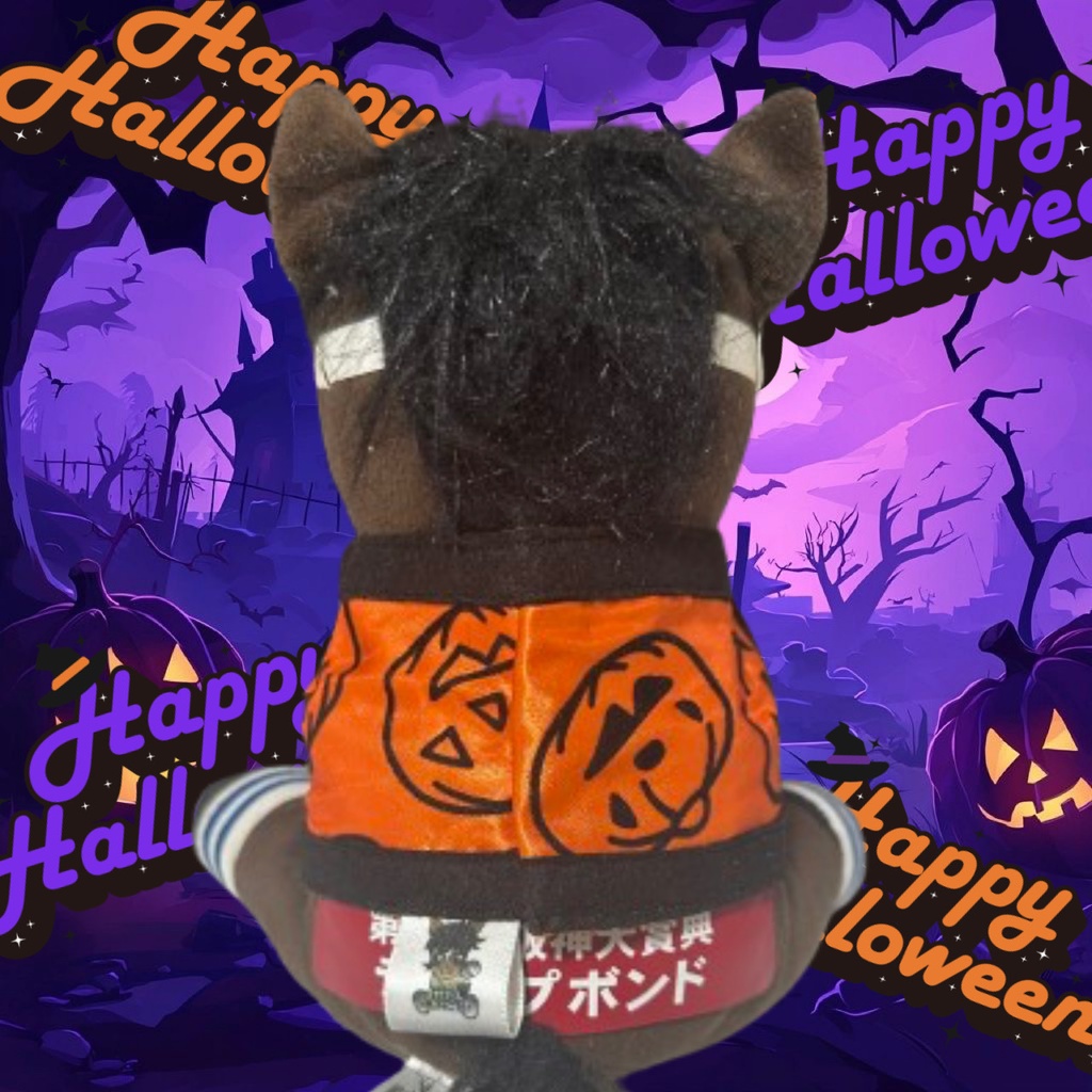 ⬛︎アイドルホース ◼️ハロウィン仮装⬛︎勝負服柄◼️(S)(マスコットサイズ) (M)レギュラーサイズ(L)ビッグサイズ ◼️勝負服着せ替え ( ぬい服 )