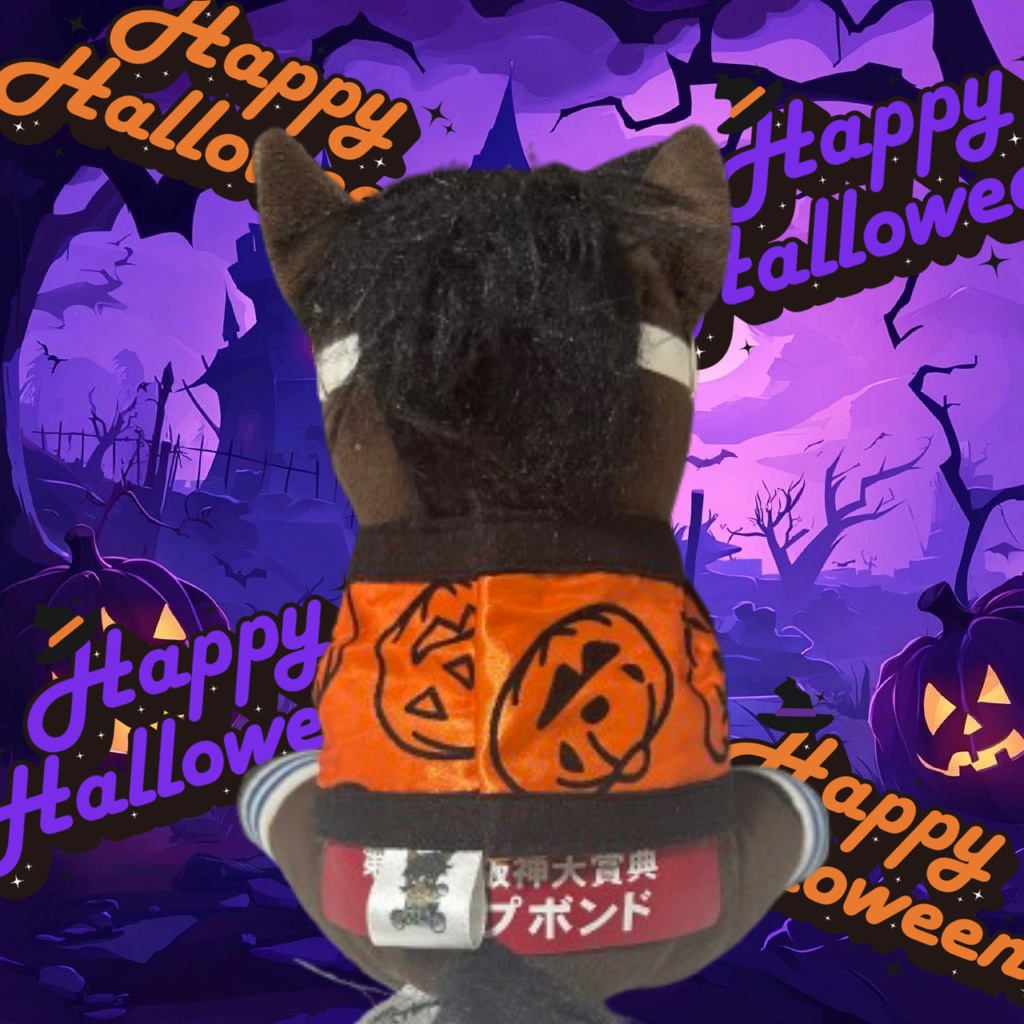 ⬛︎アイドルホース ◼️ハロウィン仮装⬛︎勝負服柄◼️(S)(マスコットサイズ) (M)レギュラーサイズ(L)ビッグサイズ ◼️勝負服着せ替え ( ぬい服 )