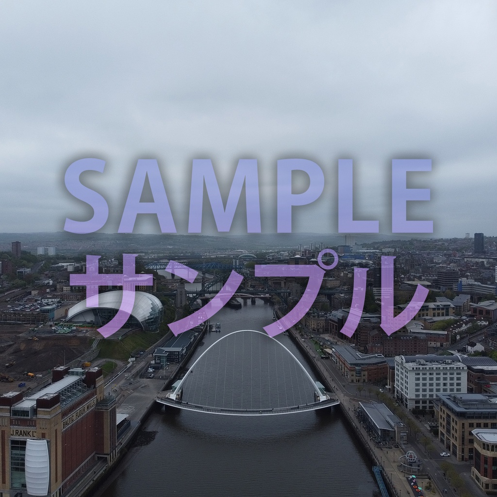 Newcastle Skybox/ニューカッスルスカイボックス