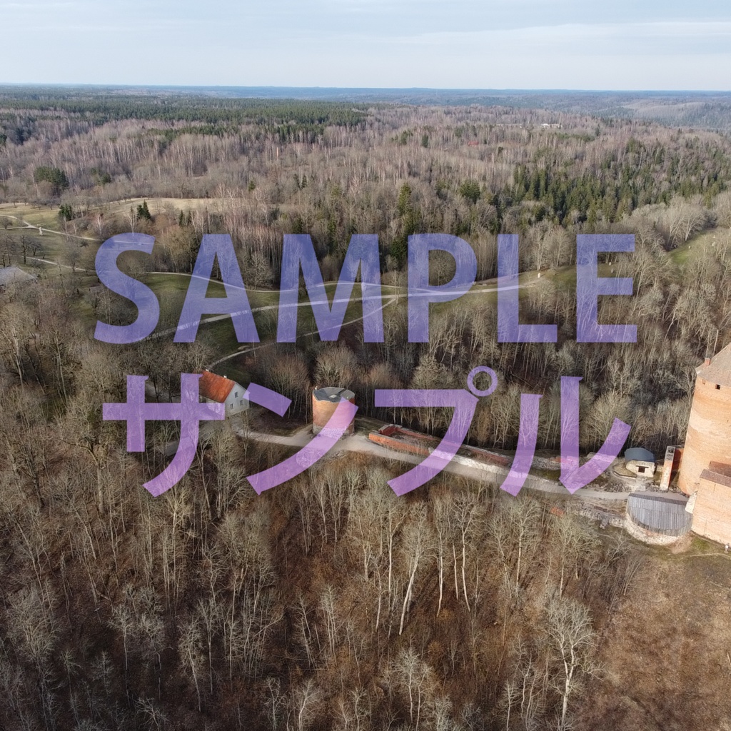 Sigulda Skybox/スィグルダ スカイボックス