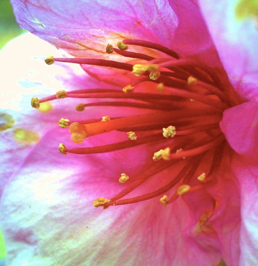 ZINE『bloomy!』