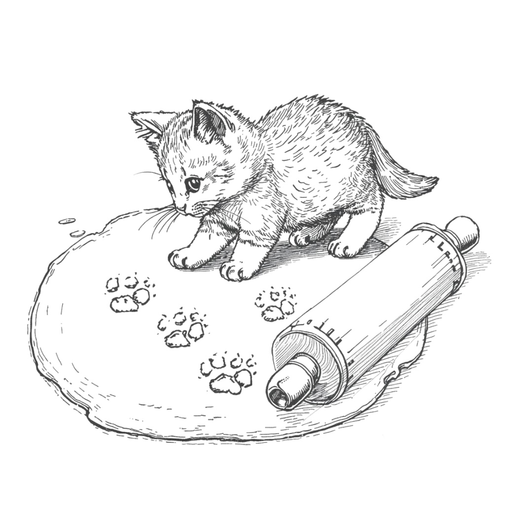 🎄🐾 クリスマス × 猫の線画クリップアート 12点+1 おまけセット 🐾🎄