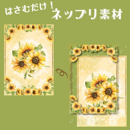 サンフラワー　ネップリ素材