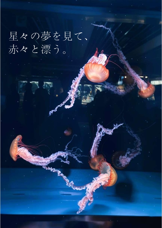 星々の夢を見て、 赤々と漂う。