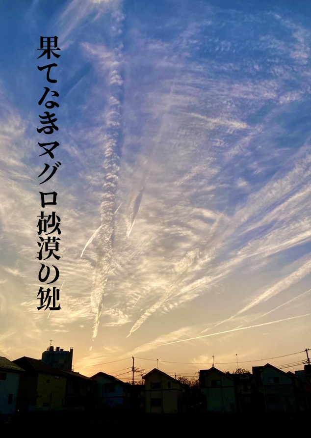 果てなきマグロ砂漠の鍵【短文基本クイズ問題集】