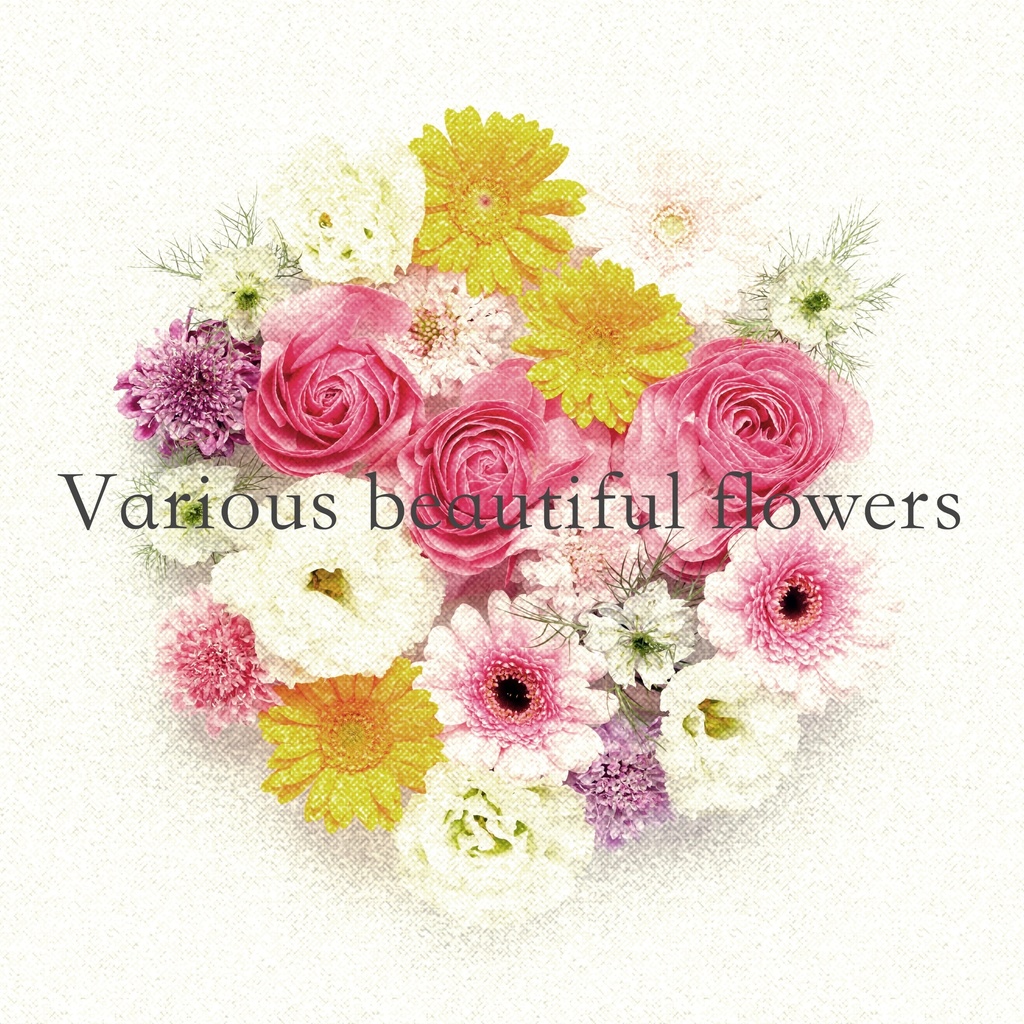 Various beautiful flowers