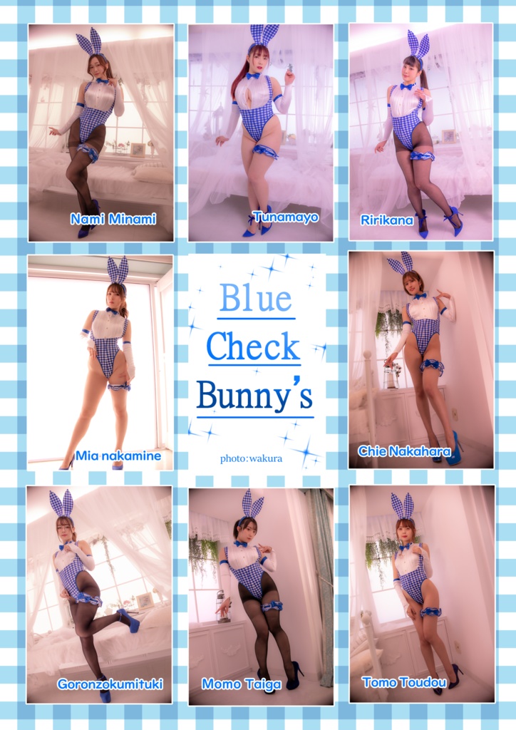 Blue Check Bunny