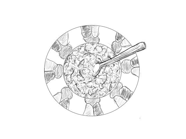 カレーのイラスト素材集