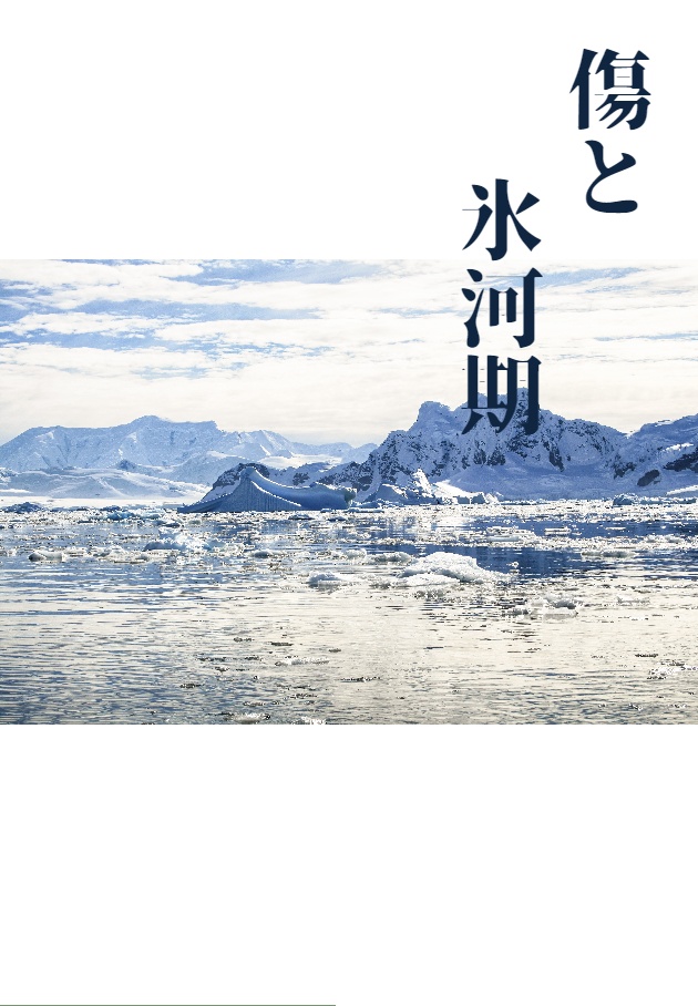 【ディミレトWEBオンリー無配】傷と氷河期