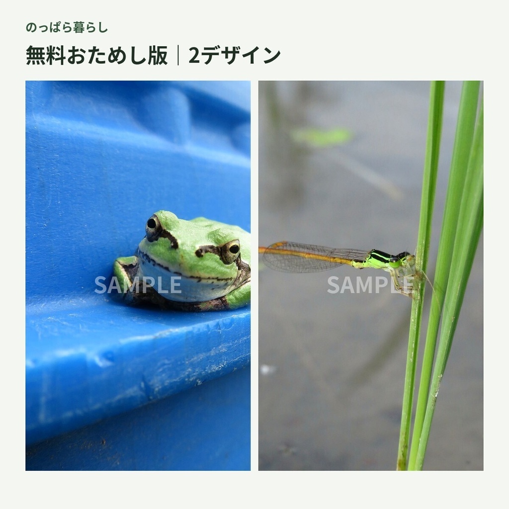 【無料】のっぱら暮らし|田んぼのいきもの壁紙 おためし版