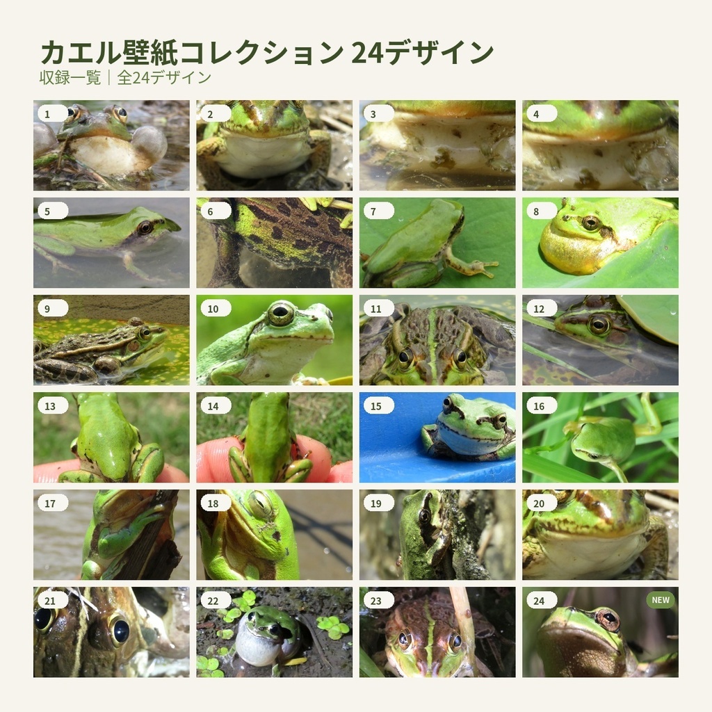 のっぱら暮らし|カエル壁紙コレクション 24デザイン